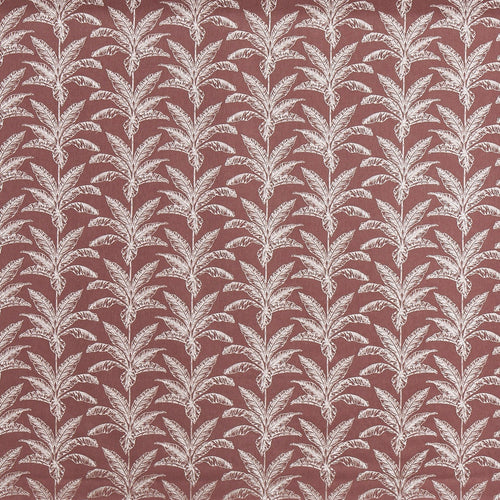 Allegro Juniper