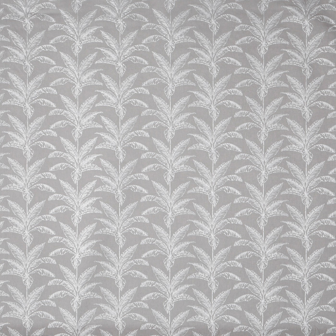 Allegro Platinum