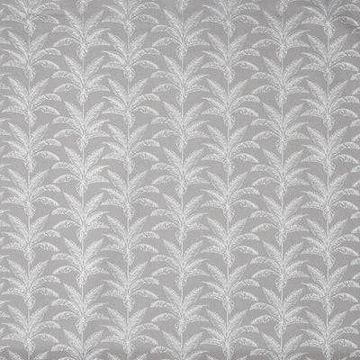 Allegro Platinum