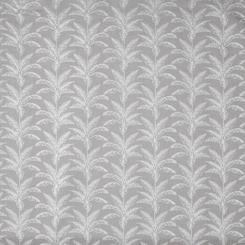 Allegro Platinum