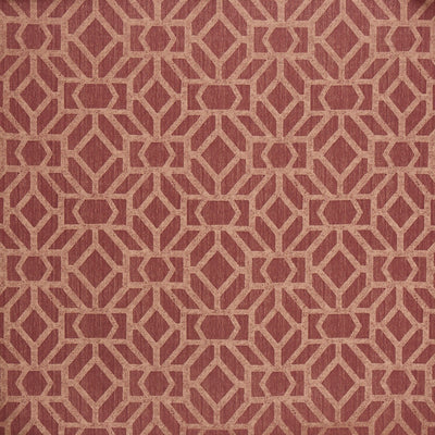 Compose (pts118) Juniper