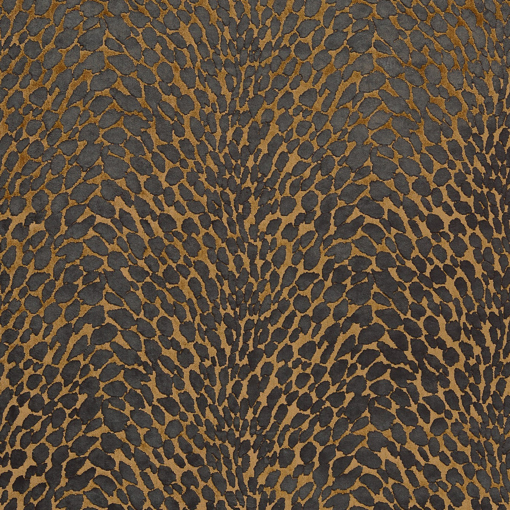 Lyric Bronze