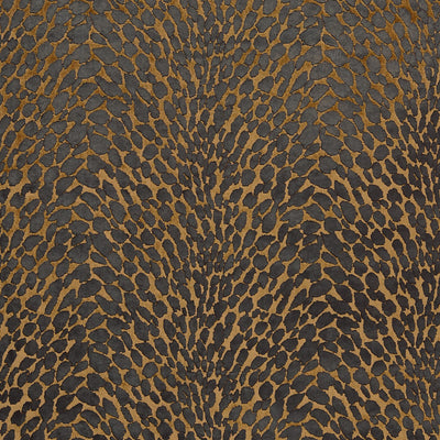 Lyric Bronze