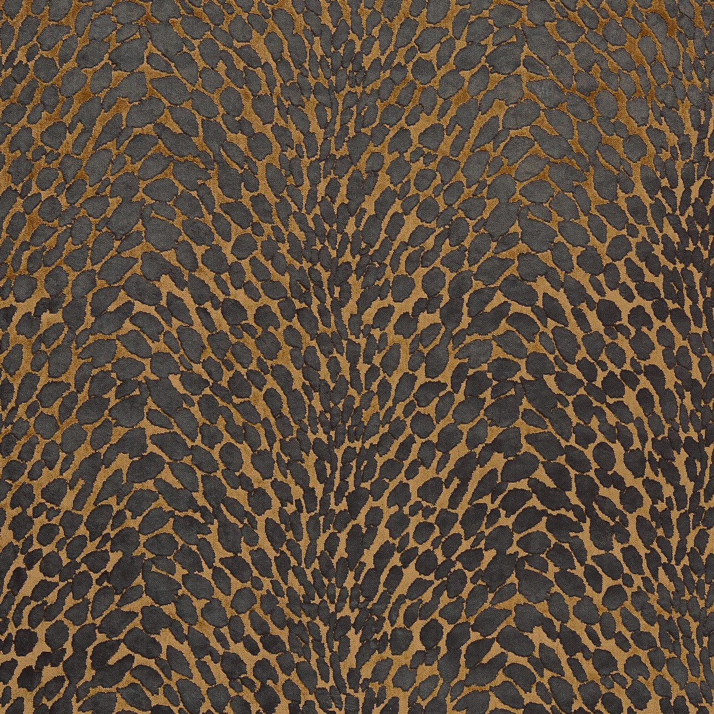 Lyric Bronze