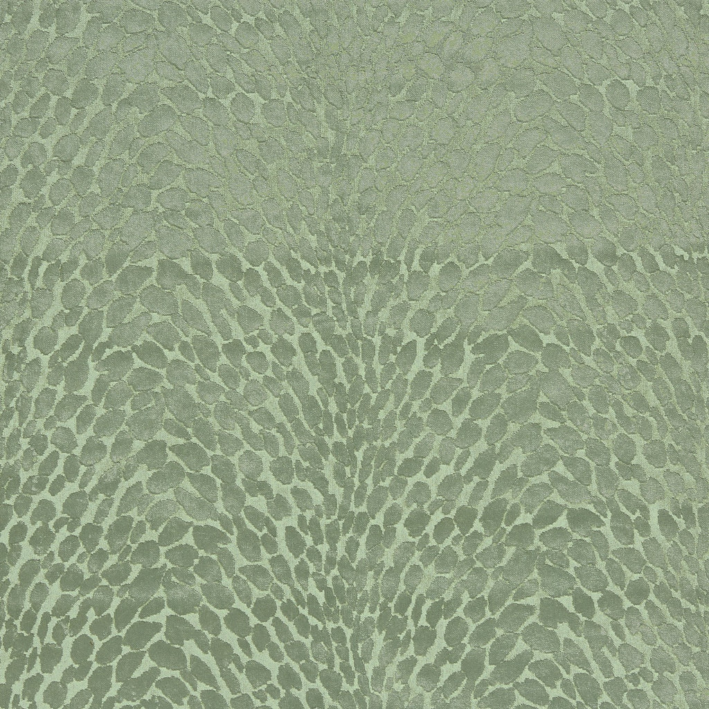 Lyric Palm