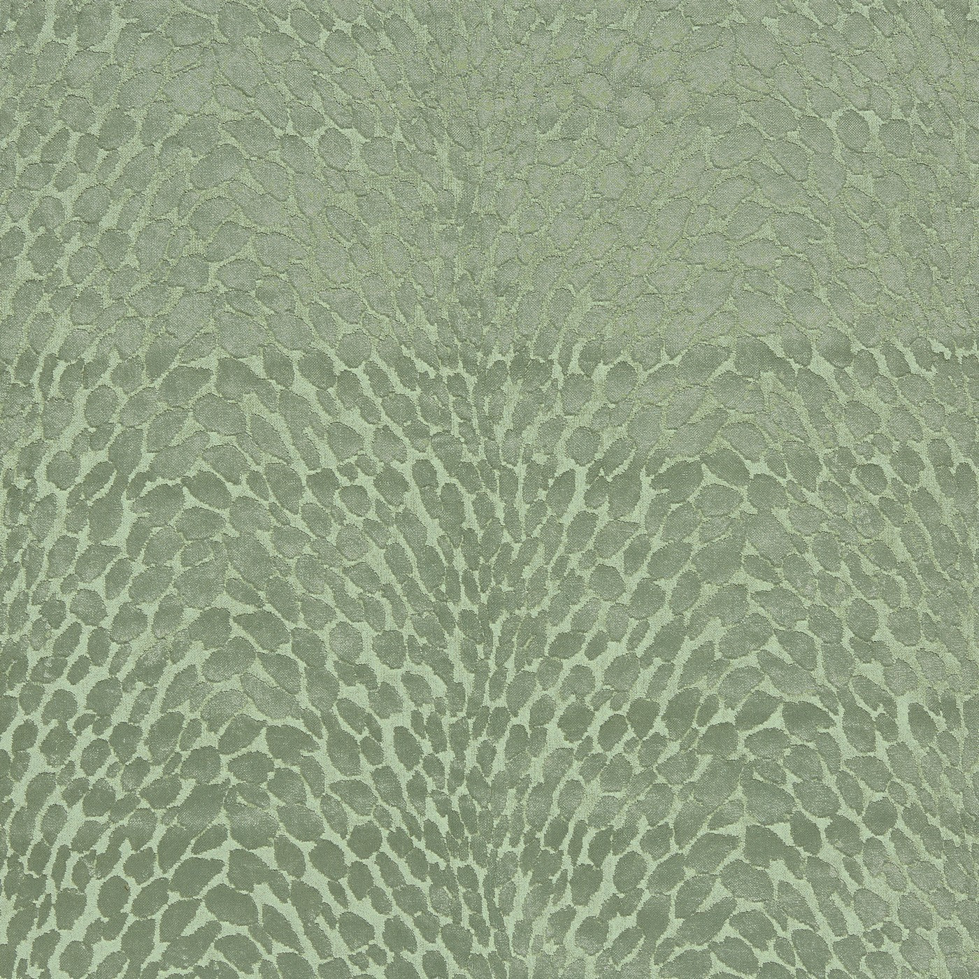 Lyric Palm
