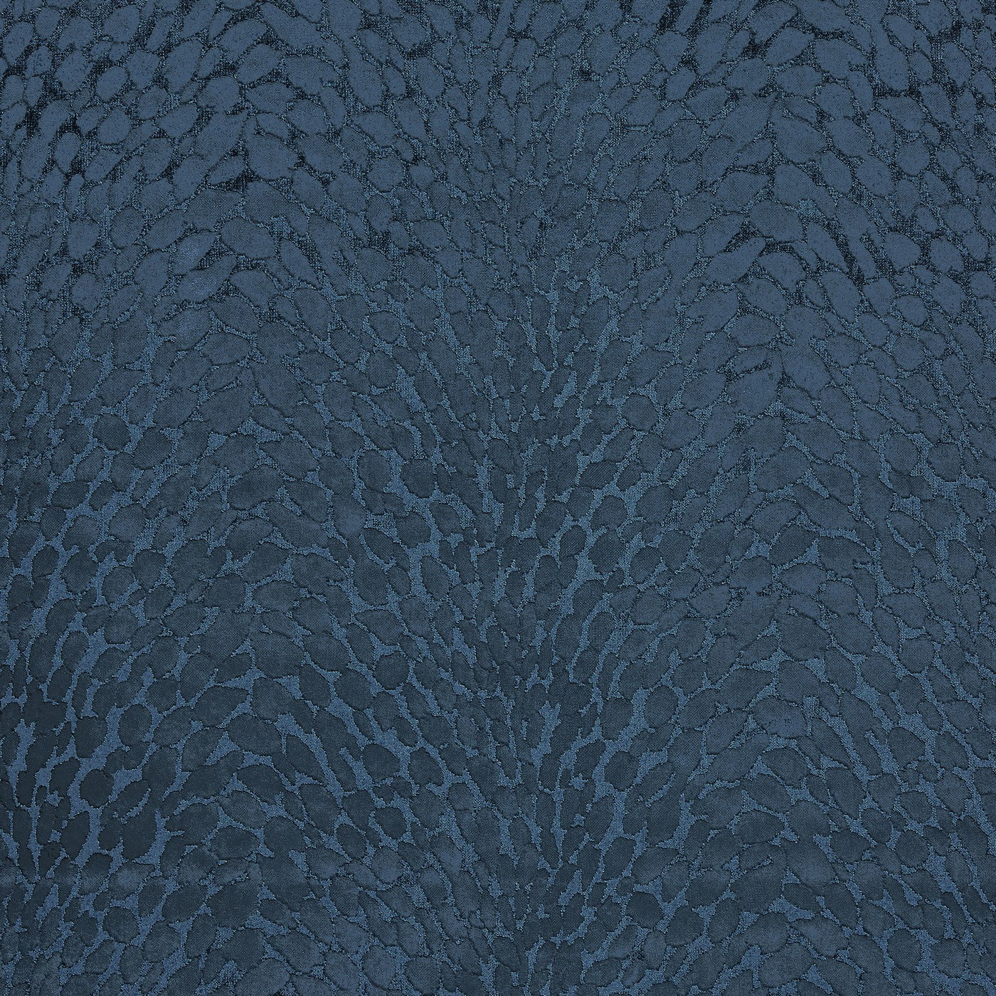 Lyric Cobalt