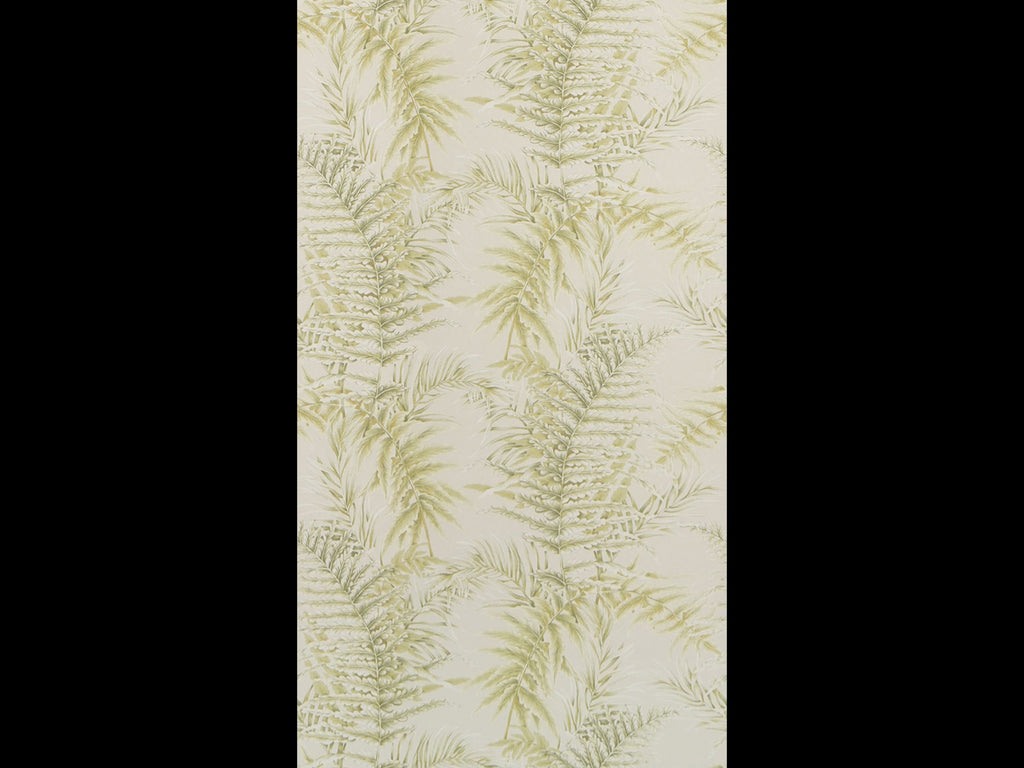 ROYAL FERN (TERRA REVERIE)