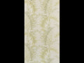 ROYAL FERN (TERRA REVERIE)