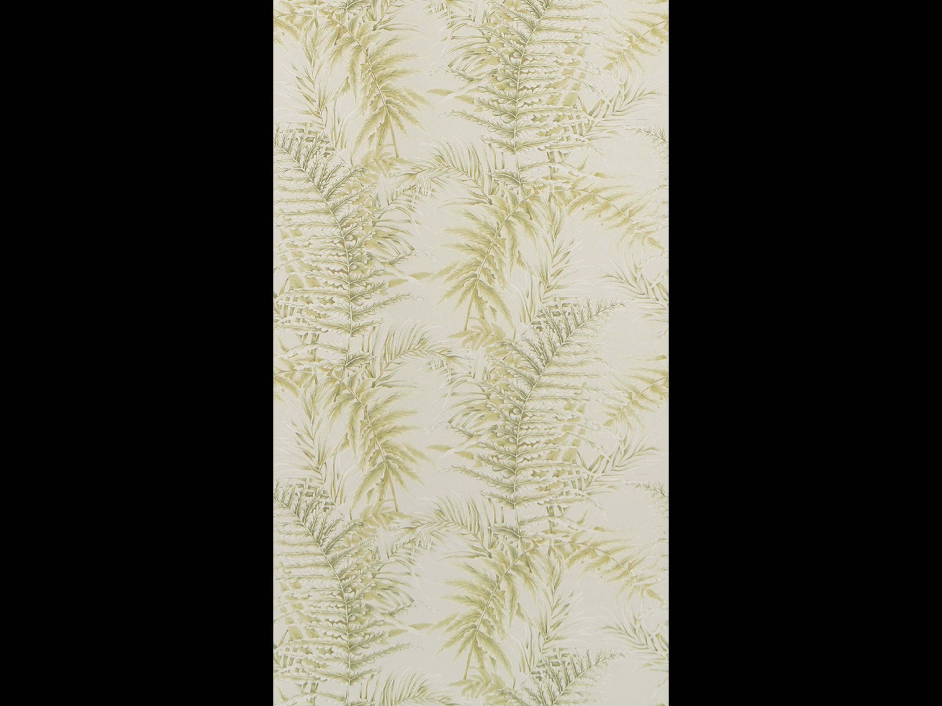 ROYAL FERN (TERRA REVERIE)