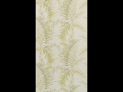 ROYAL FERN (TERRA REVERIE)