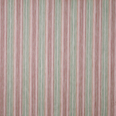 Nico Bon Bon (pts120)