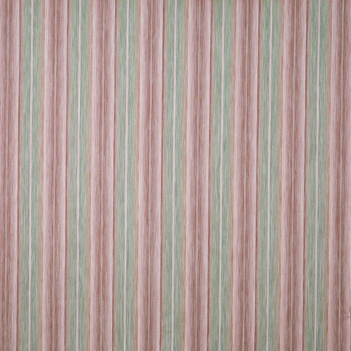 Nico Bon Bon (pts120)