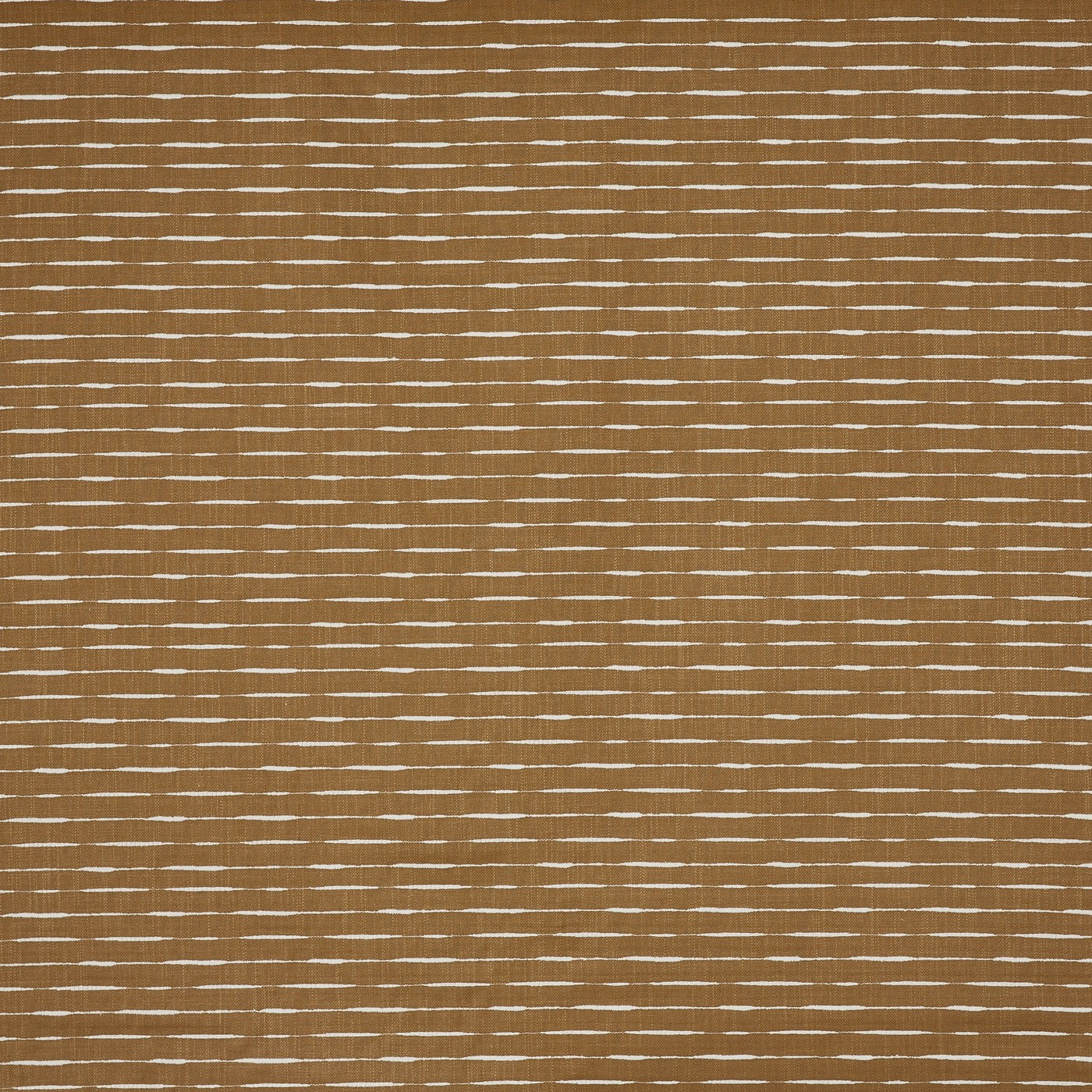 Luis Desert
