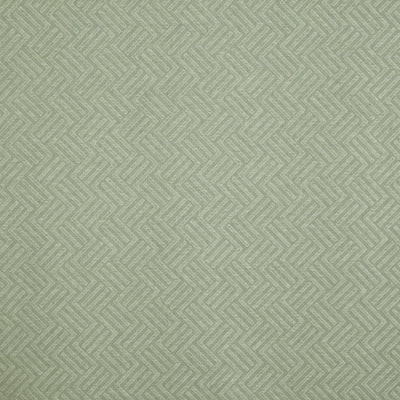 Avesta Fern