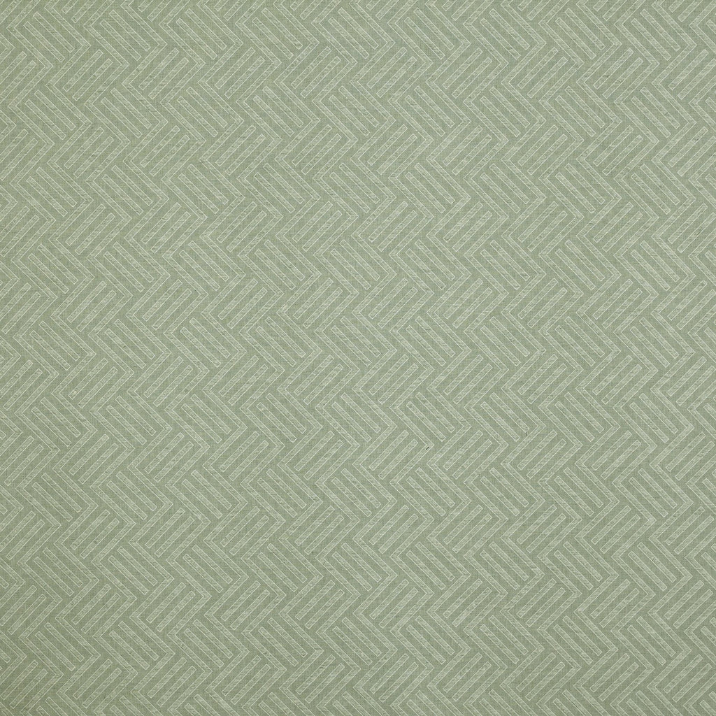 Avesta Fern