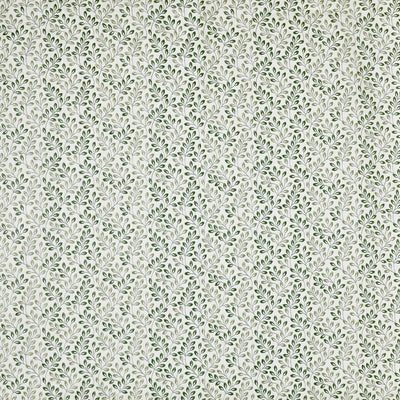 Fitzrovia Laurel