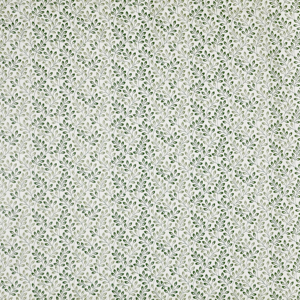 Fitzrovia Laurel