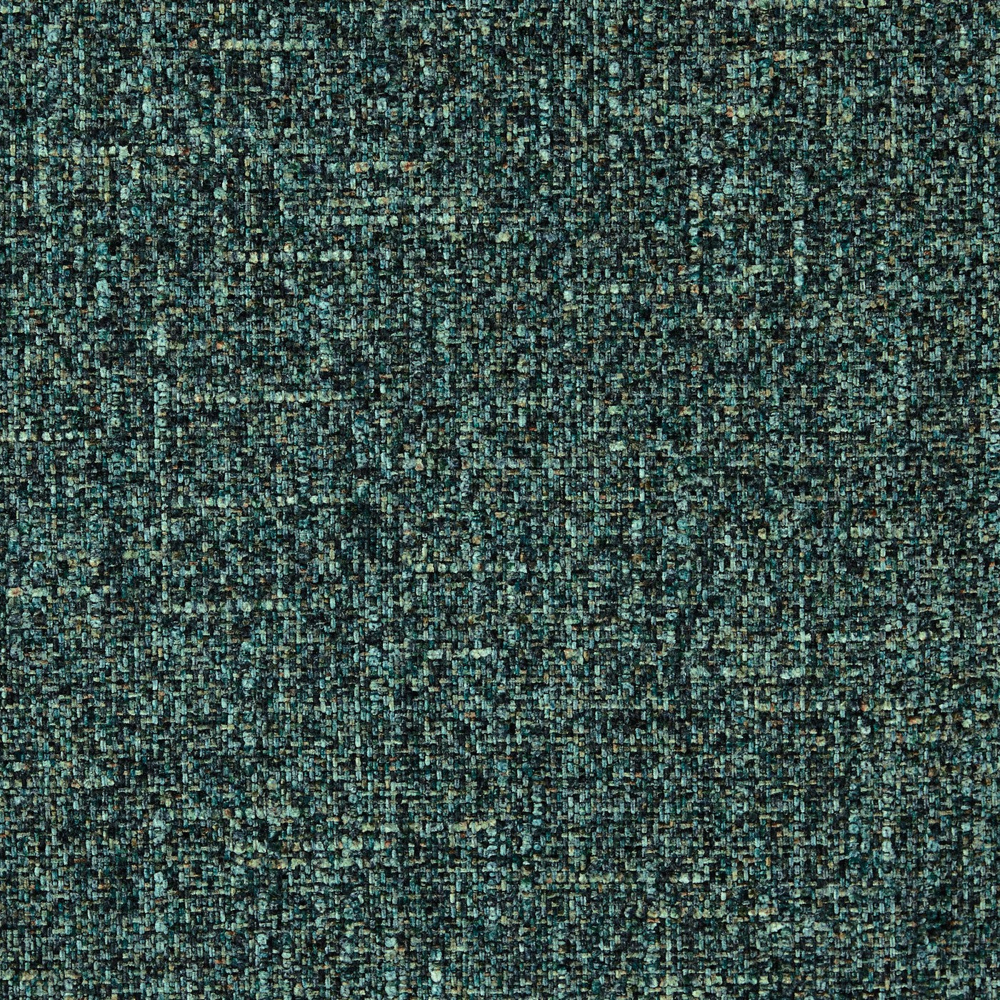 Fortune Ivy