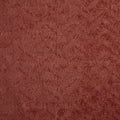 Canova Spice