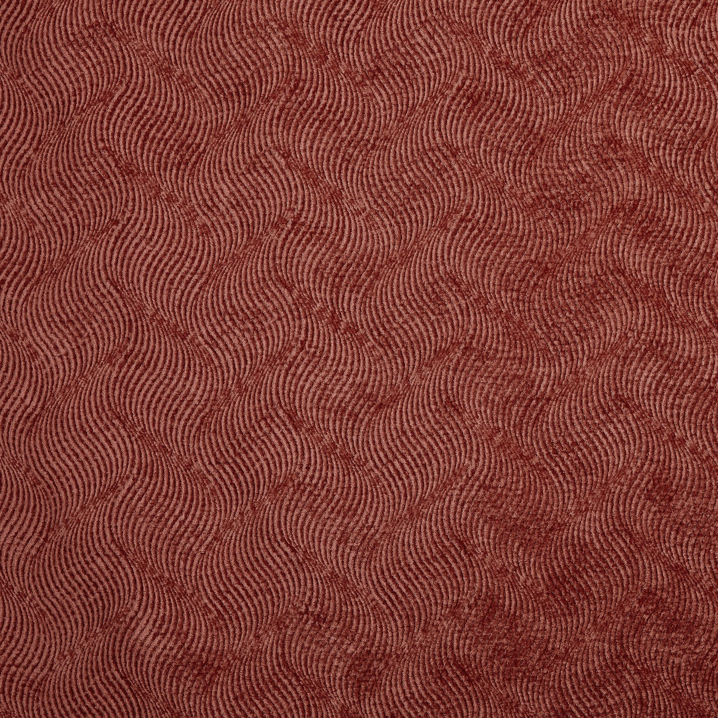 Canova Spice
