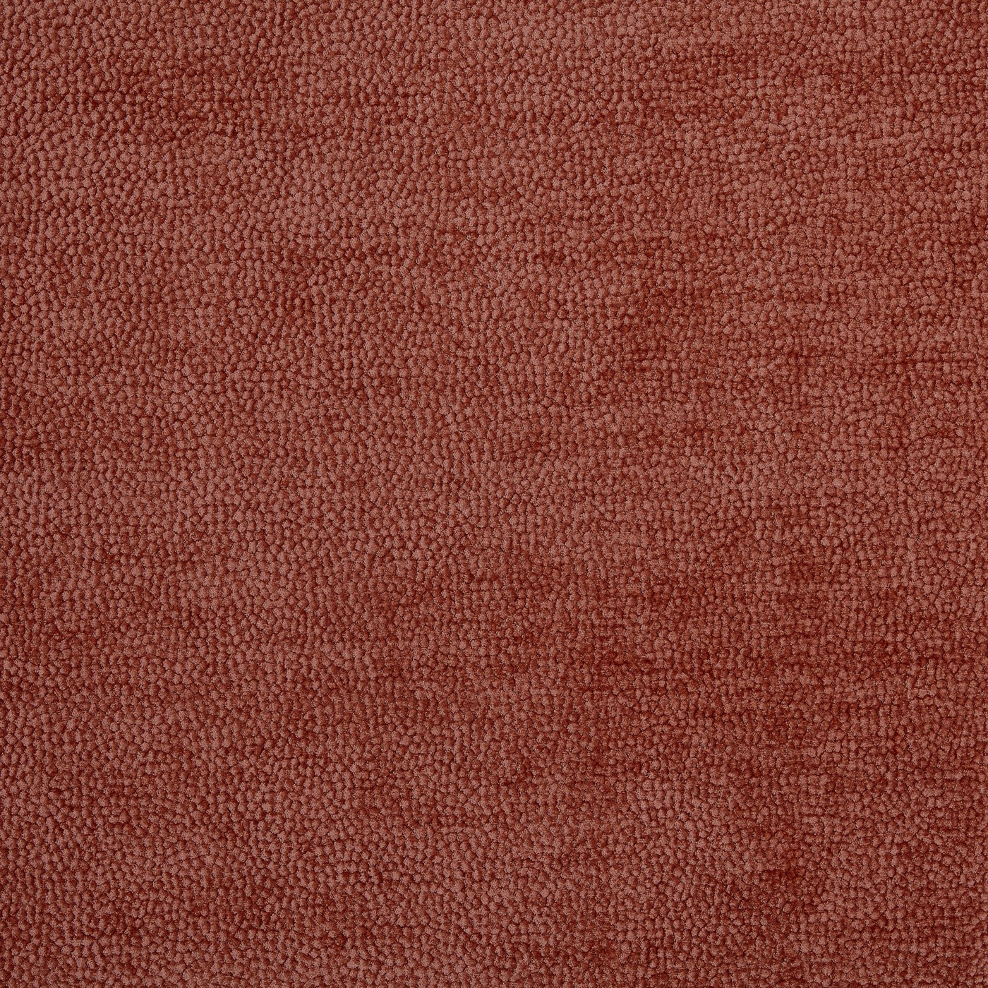 Rodin Spice
