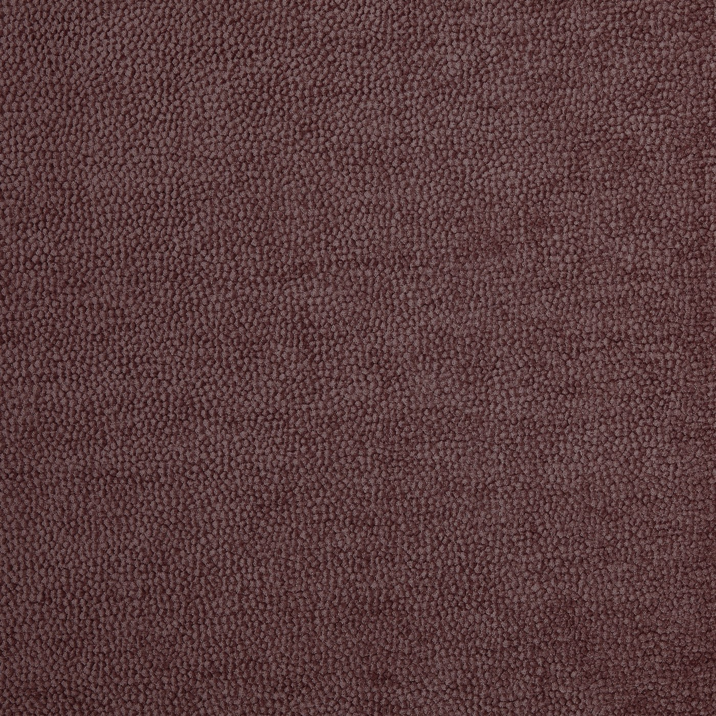 Rodin Heather
