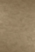 Alchemy (Metallico Vinyls)