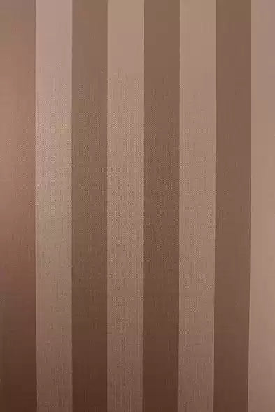 Metallico Stripe (Metallico Vinyls)