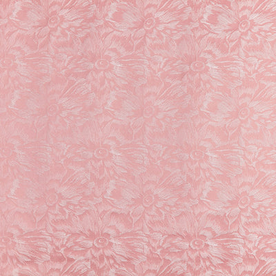 Cherie Meringue