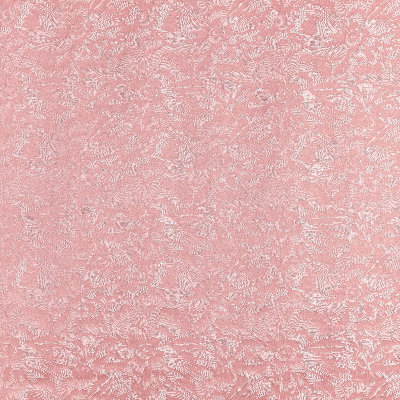 Cherie Meringue