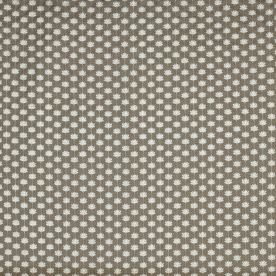 Lodore Pebble