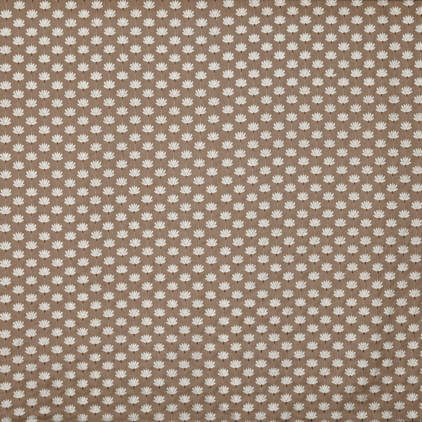 Lodore Cinnamon