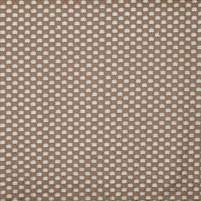 Lodore Cinnamon