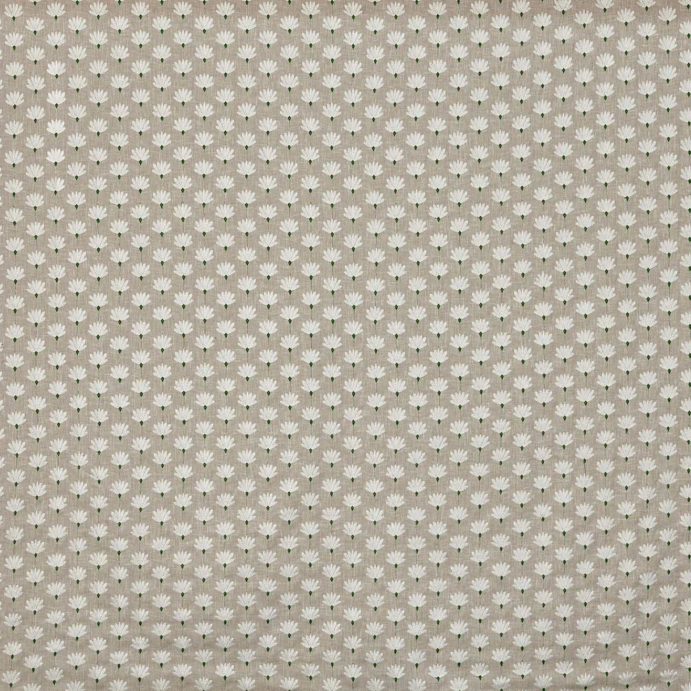 Lodore Peppermint