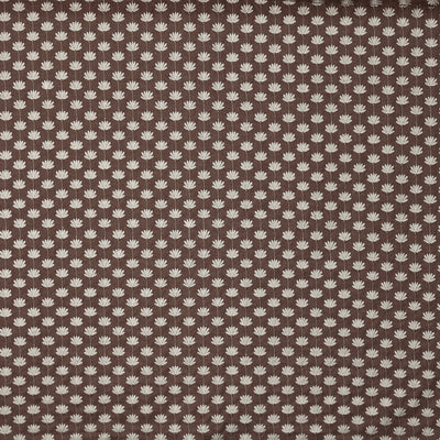 Lodore Cedar
