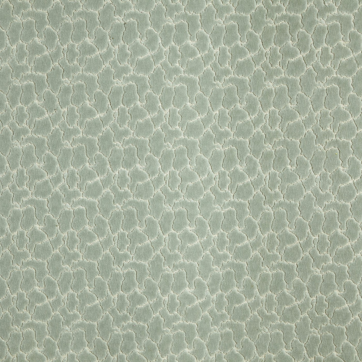 Rockliffe Peppermint