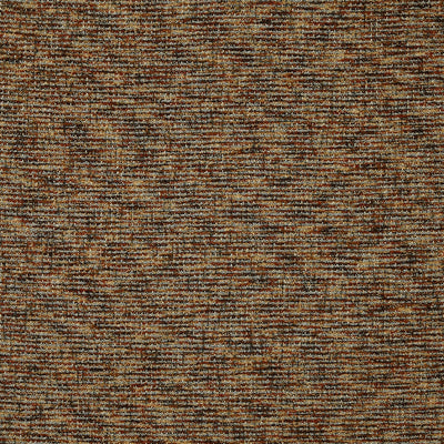 Neema Sienna