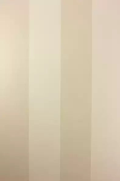 Zingrina Stripe (Metallico Vinyls)