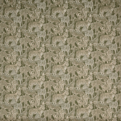 Zambezi Cactus