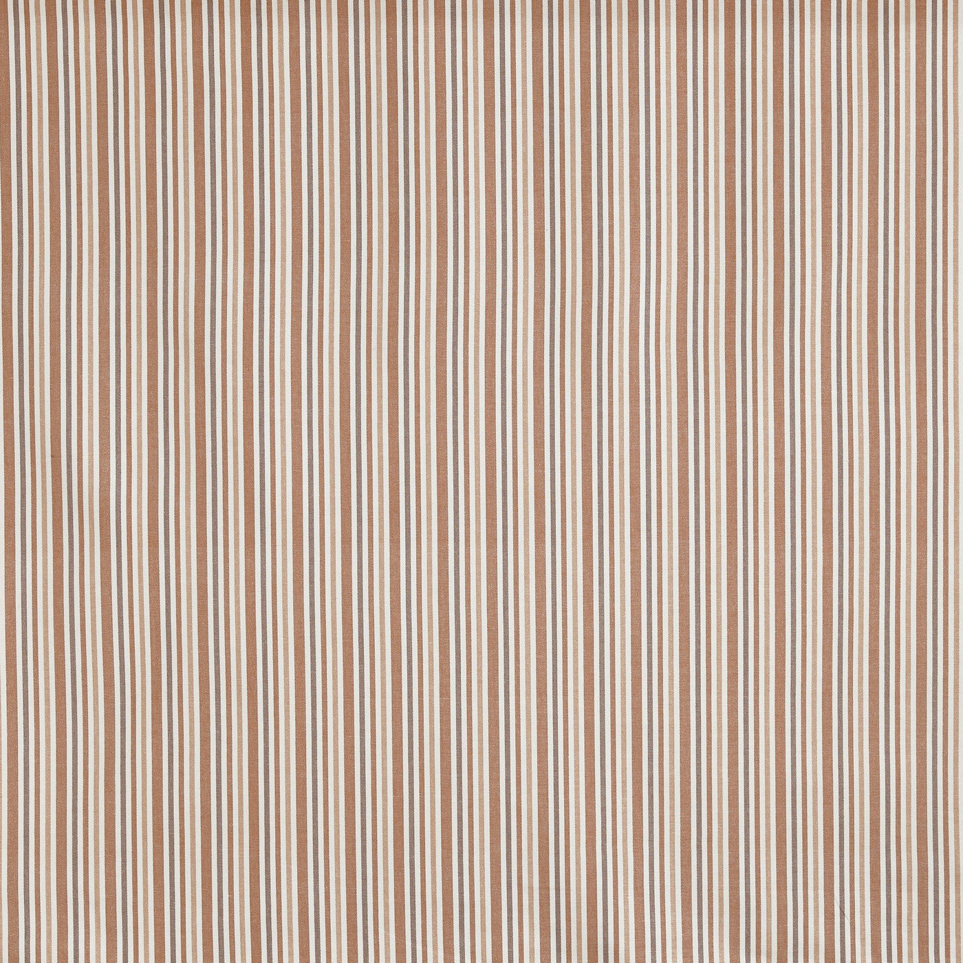 Towan Coral