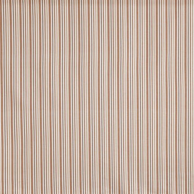 Towan Coral
