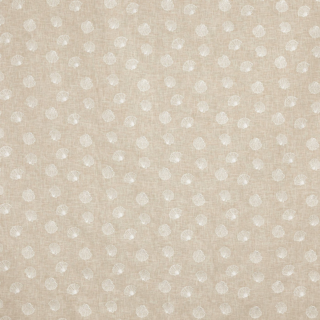 Periwinkle Oyster
