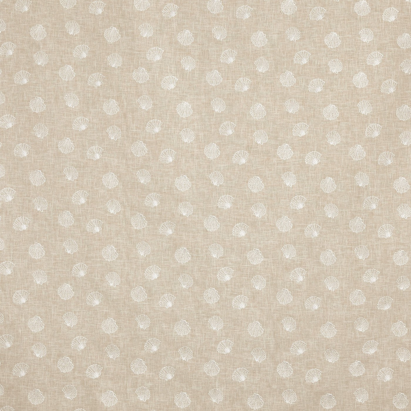 Periwinkle Oyster