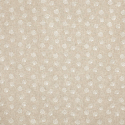 Periwinkle Oyster