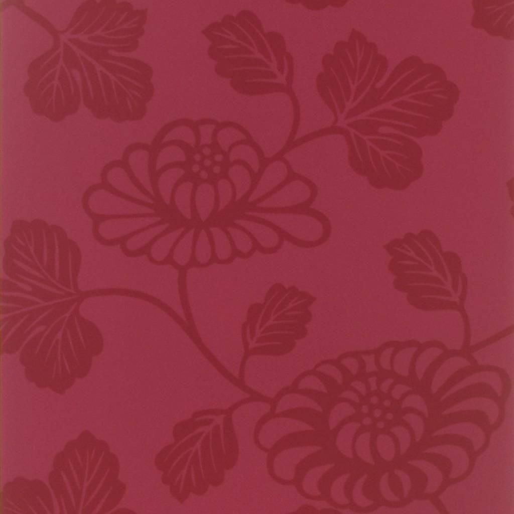 Kashima - Cranberry (Taraz)