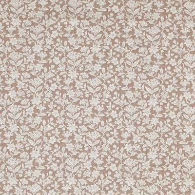 Rosana Apricot