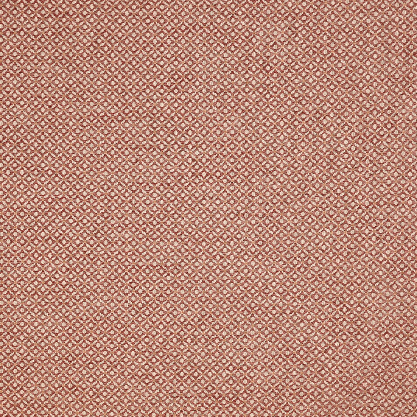 Westwood Rose