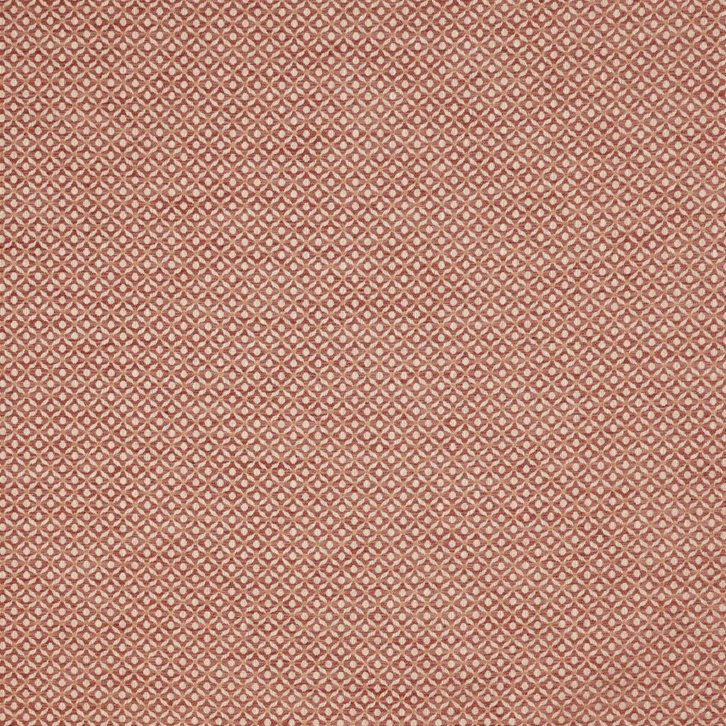 Westwood Rose