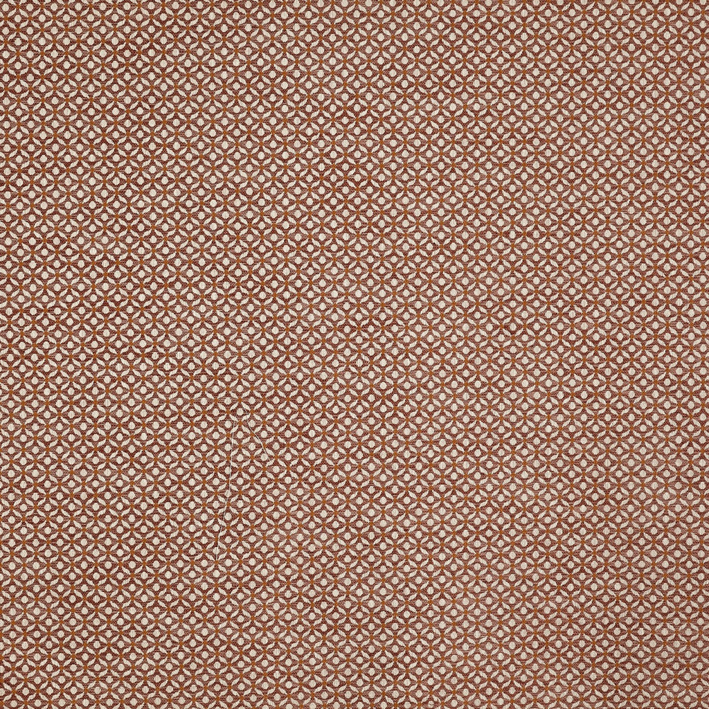 Westwood Apricot